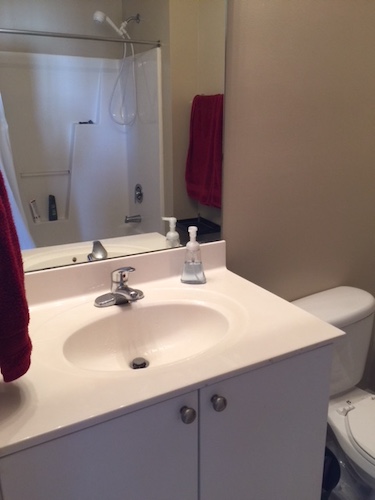 Bathroom mirror and sink