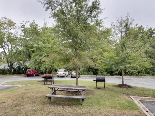 Picnic area with grill and picnic table